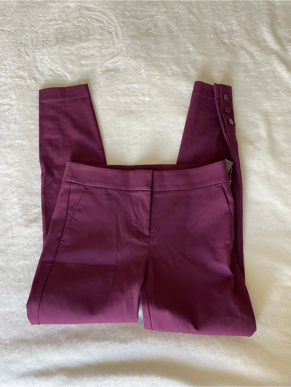 LOFT Marisa Pants in Deep Plum 8 Tall